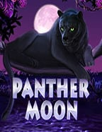 เฮ้ย! ปอยเปตคาสิโนอยู่ไหน นักเดิมพันอยากรู้จริงเหรอ?